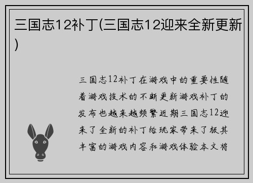 三国志12补丁(三国志12迎来全新更新)